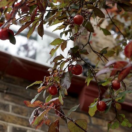 Luxury London Garden Home Sleep 7, 2 Mins To Metro Esterno foto